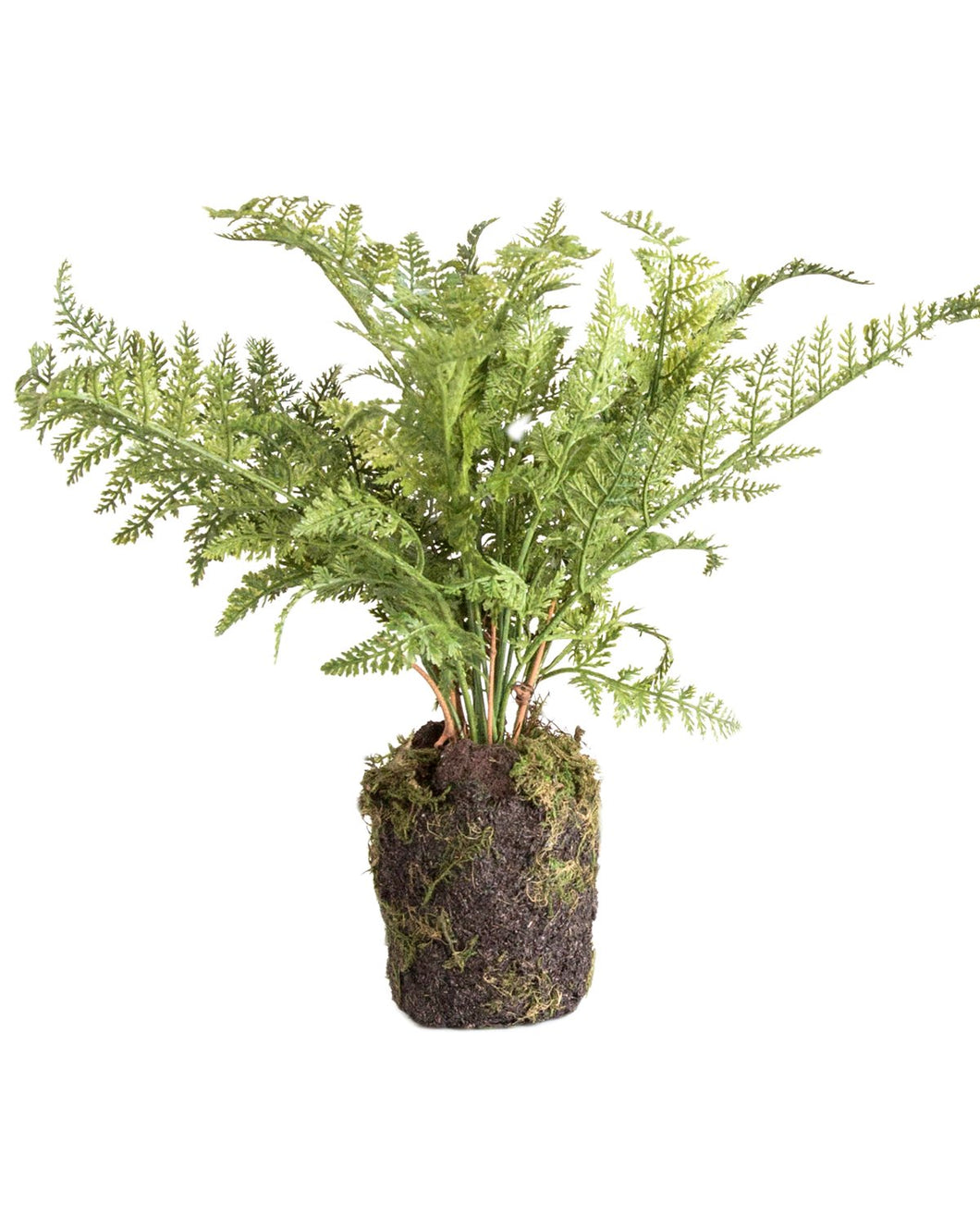 Faux Fern Drop-In