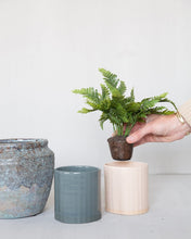 Load image into Gallery viewer, Earthy Textured Pot
